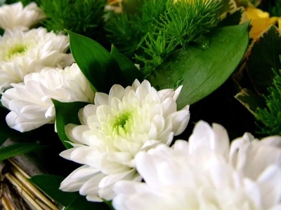 网上祭奠亲人怎么做