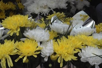 网上纪念馆祭祀网