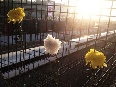 父亲节悼念父亲