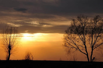 怀念亲人逝世的诗句