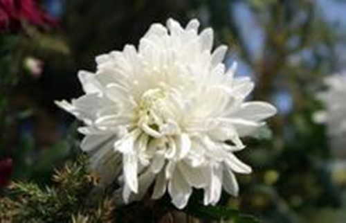 孩子头七有什么讲究