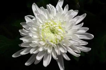 什么是网上纪念馆