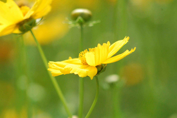 什么是网上纪念馆