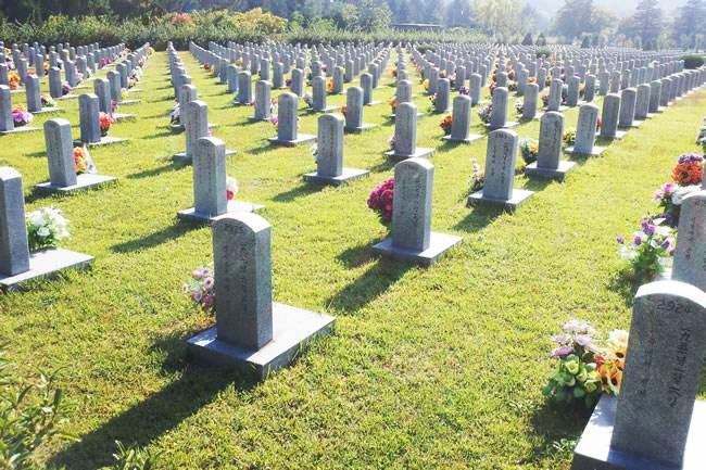 平时能否去墓地祭拜看望亲人