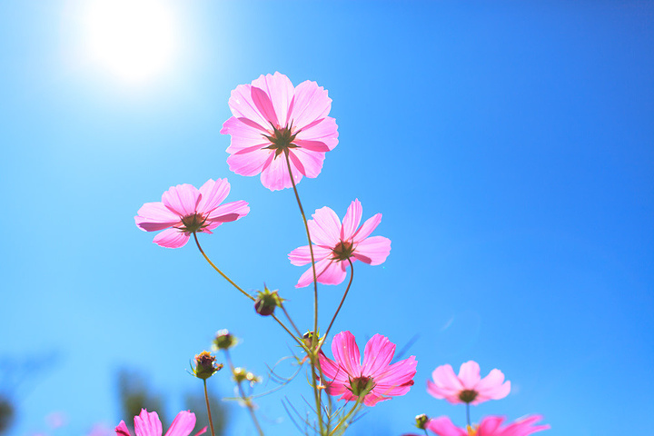 老人去世烧头七都准备什么