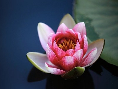 电影公司xxx同志追悼会上的追悼词