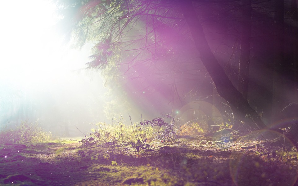 经典墓志铭选集