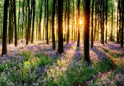 挽联横批大全-灵堂横批大全