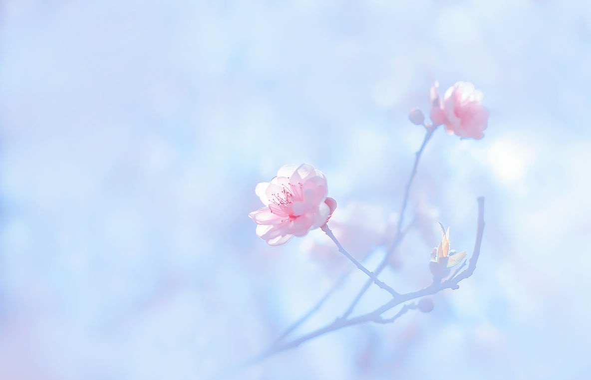 丈夫去世挽联怎么写?挽丈夫挽联 妻送给丈夫的花圈挽联