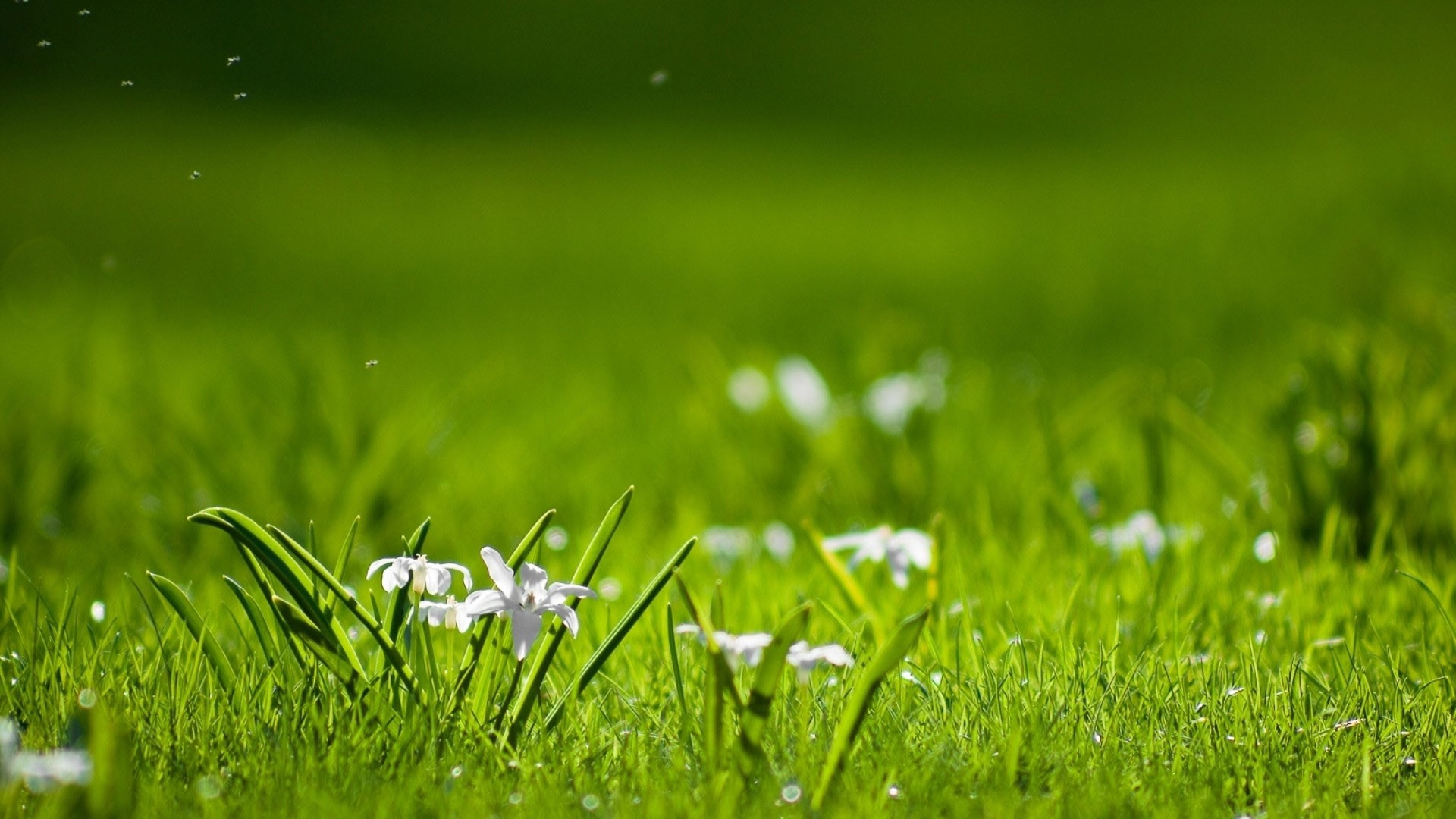 名家经典挽联集锦