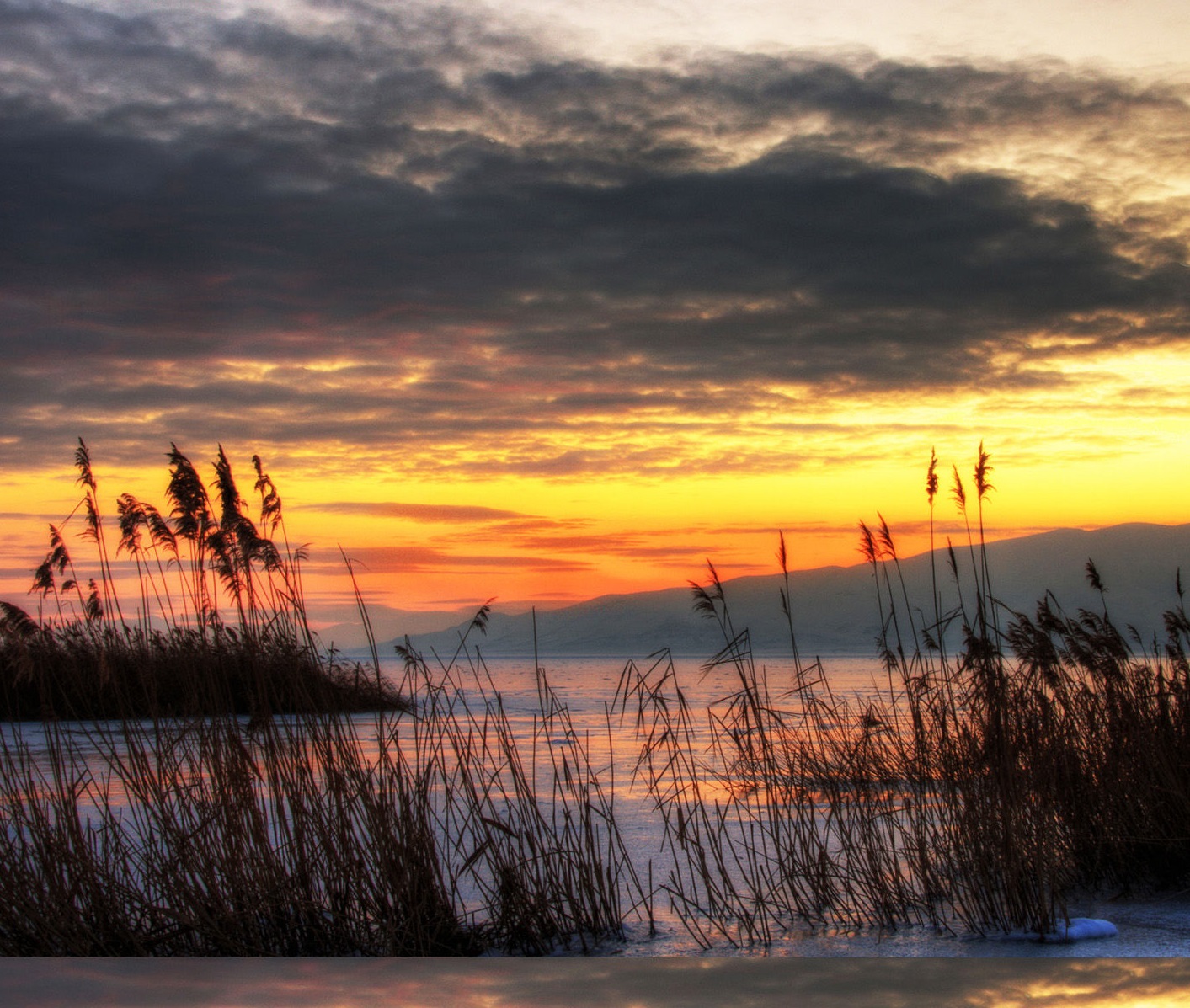 网上祭祀怎么祭