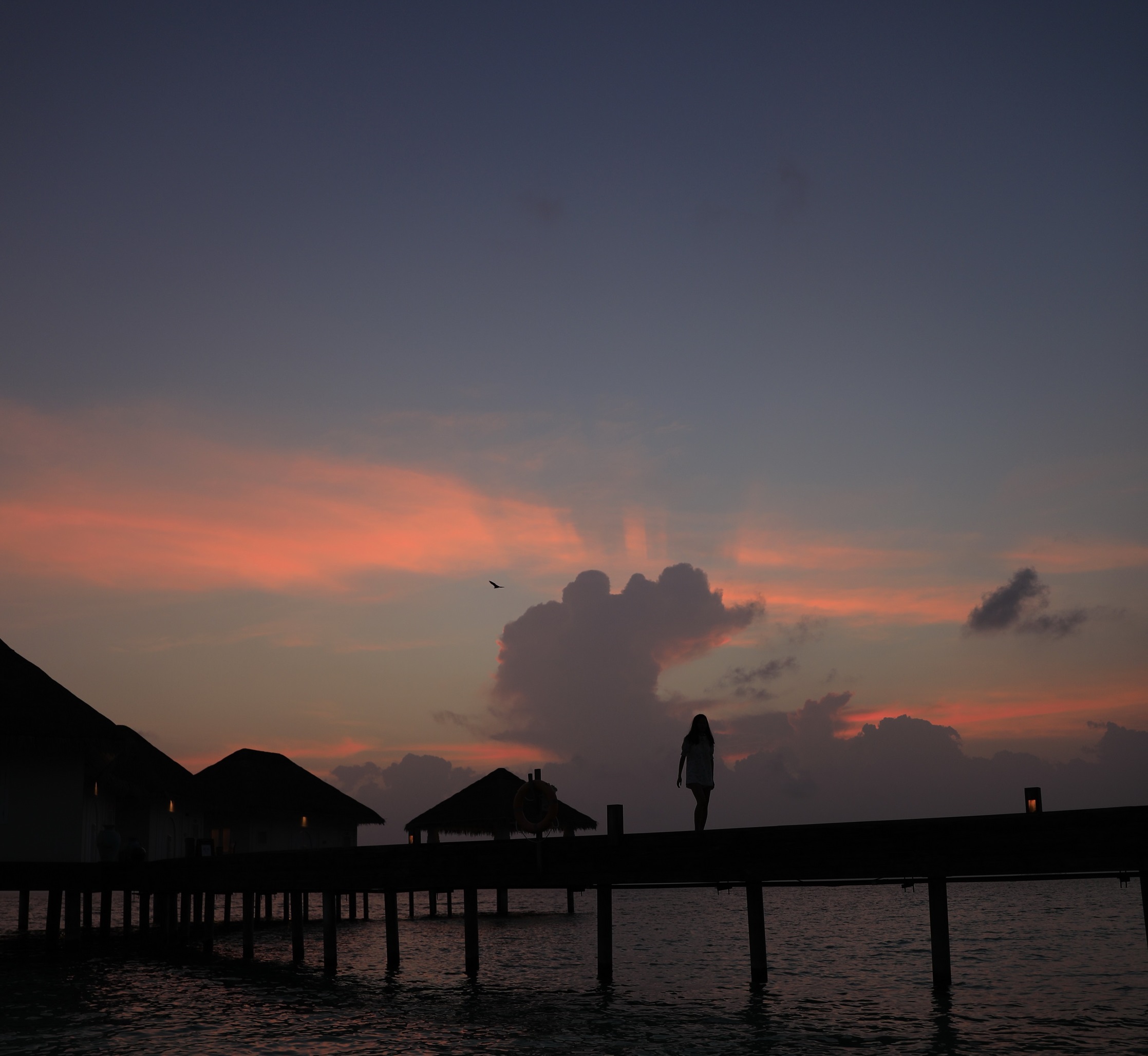 网上祭祀怎么祭