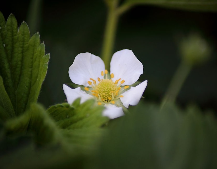 逝者牌位怎么写