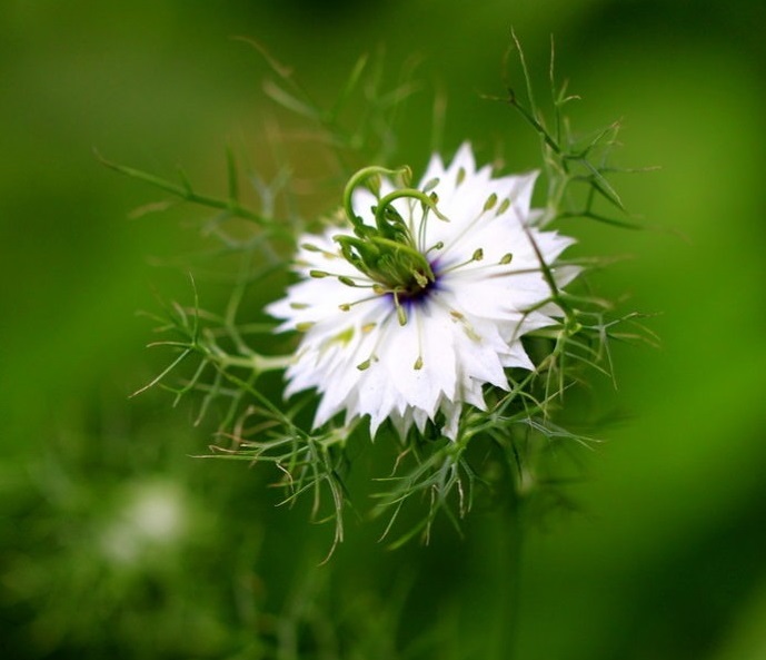 逝者牌位怎么写
