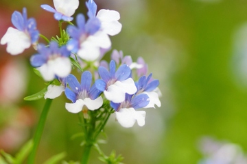 农村去世通用挽联集锦