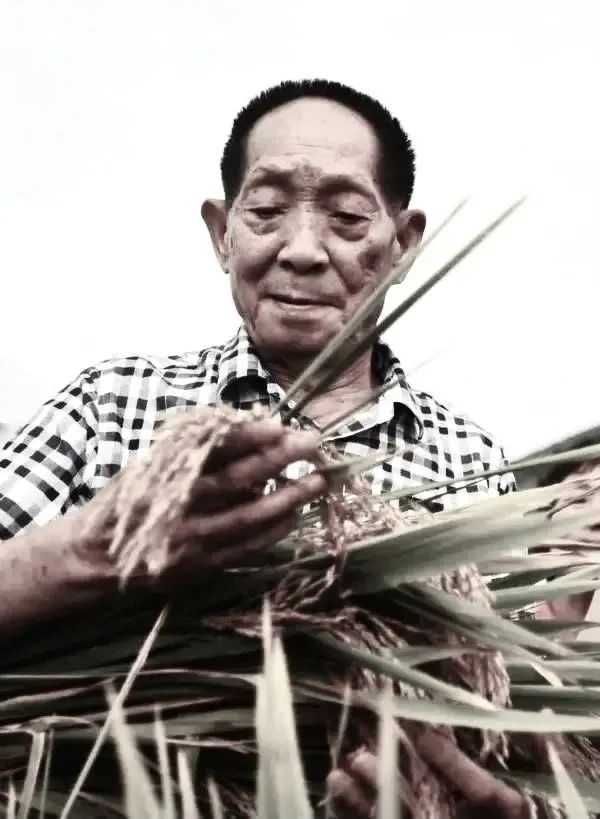 国士无双，袁公千古