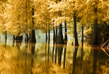 重阳节的时候怎么祭祖