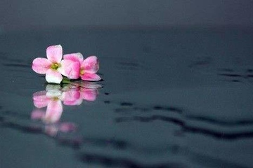 祭奠供品五种都有哪些