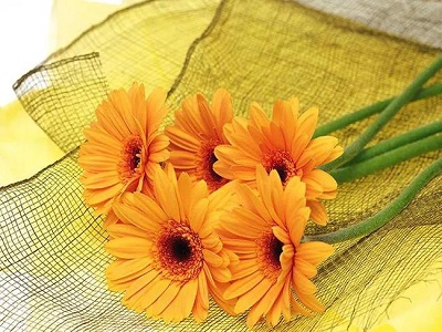 生忌是什么意思