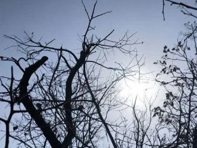 生忌是什么意思