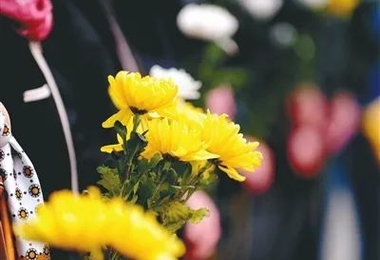 生忌是白天还是晚上