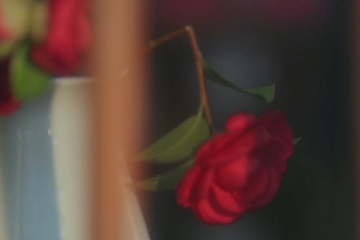 父母墓碑经典碑文大全