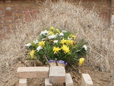 忌日是按阳历还是阴历