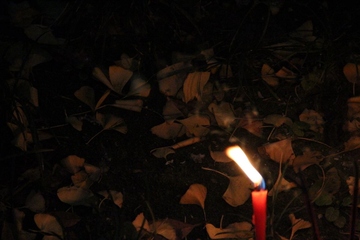 冬日祭奠亲人的句子