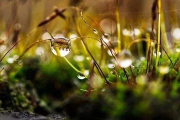 死亡的父亲过生可以上坟吗