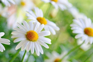 单位送给职工父亲去世挽联