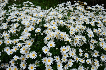 单位送给职工父亲去世挽联