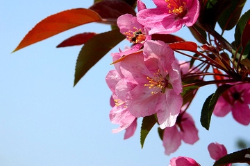 为什么不能摸死人的手