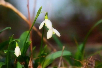 为什么不能摸死人的手