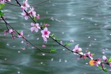 为什么不能摸死人的手