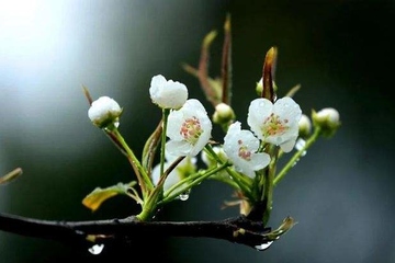 为什么不能摸死人的手