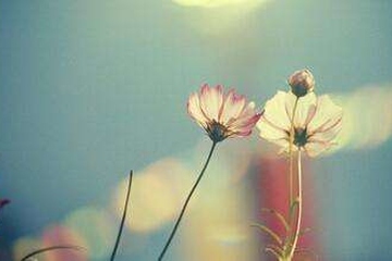 女儿为什么不能给父亲烧纸