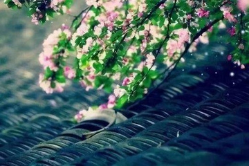 老人的忌日需要做什么