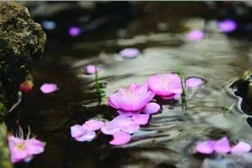 公祭日是什么日子