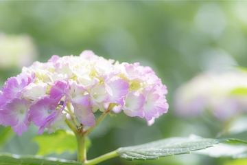 墓碑碑文对联大全