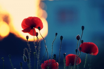 墓碑碑文对联大全