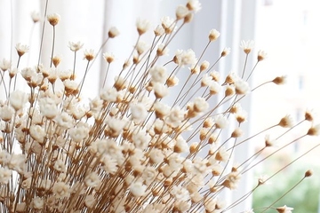 参加吊唁该怎么做