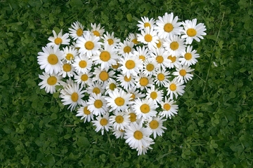 生忌时该怎么做