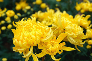 生忌时该怎么做