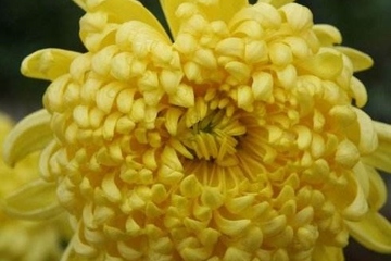 祭奠父亲的悼词