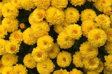 祭奠逝者的悼词