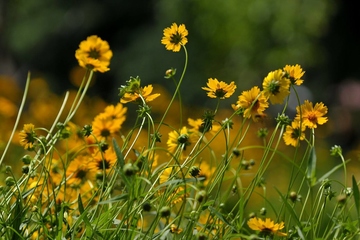 祭奠逝者的悼词
