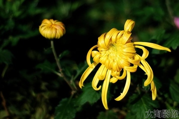 祭奠逝者的悼词