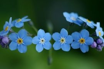 亡者生日要不要祭拜