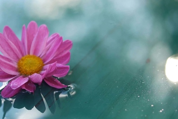 亡者生日要不要祭拜