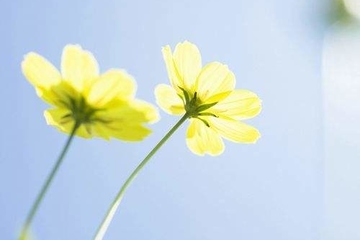 亡者生日要不要祭拜